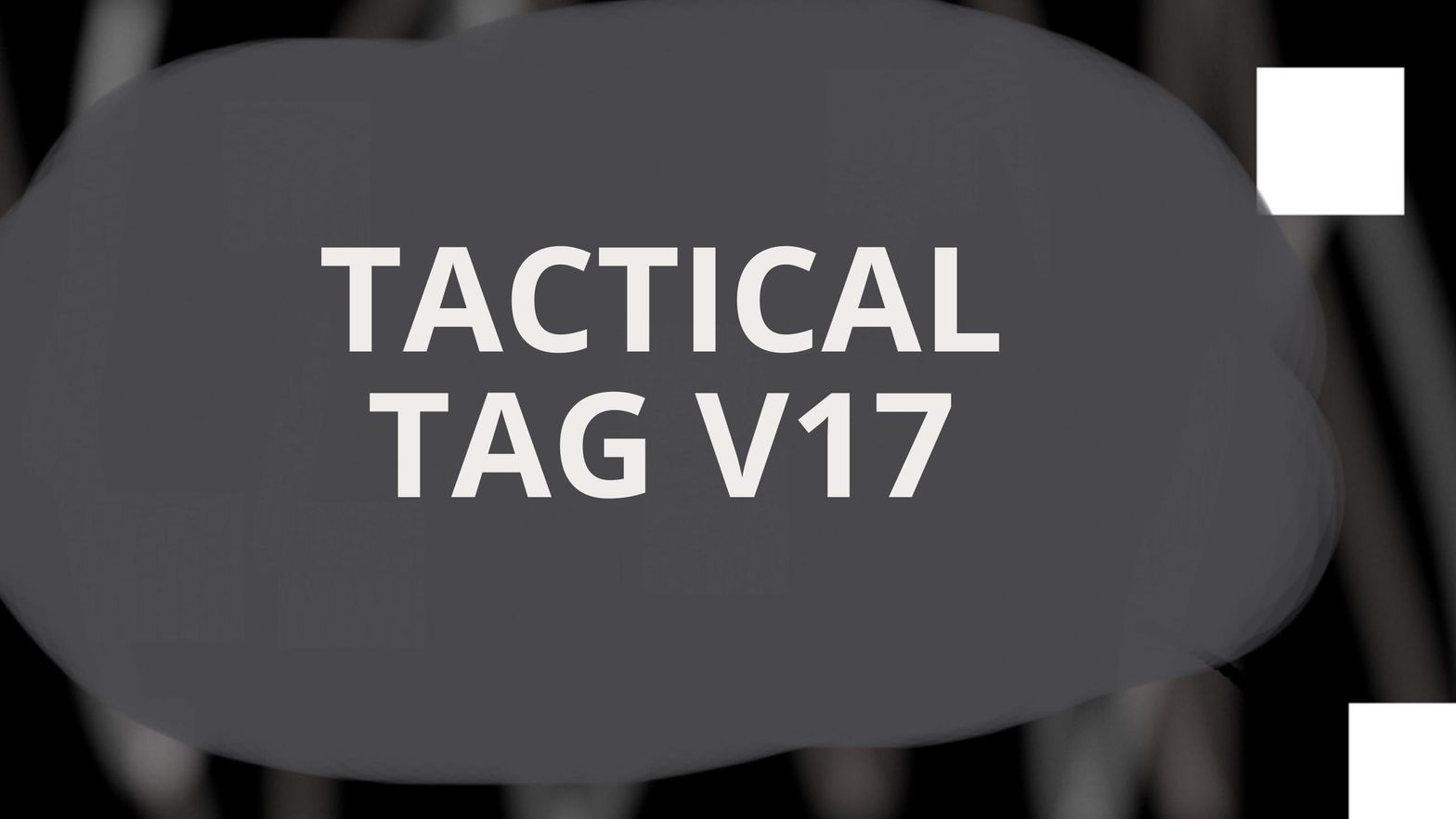 TACTICAL TAG V17