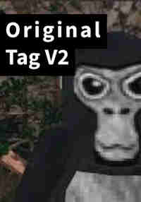 Original Tag V2