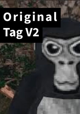 Original Tag V2