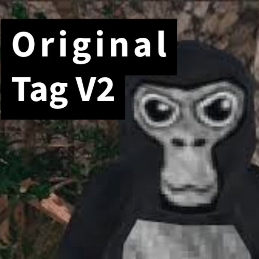 Original Tag V2