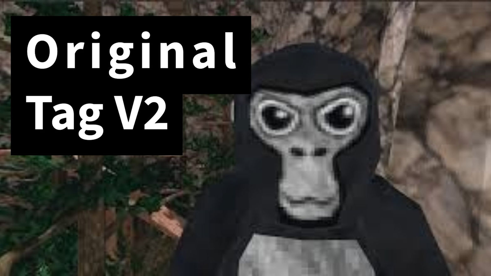 Original Tag V2