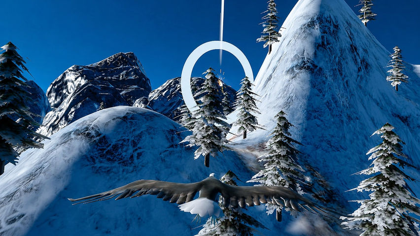 Eagle Glide: Bird Flight