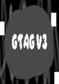 GTAG V3