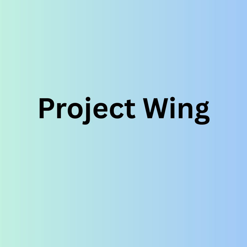 Project Wing
