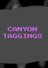 Canyon Taggings