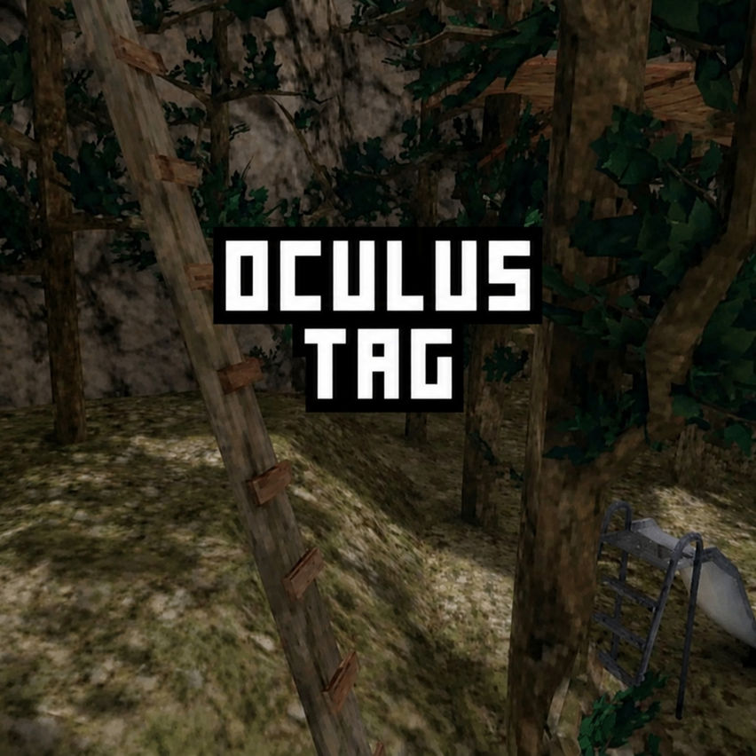Oculus Tag