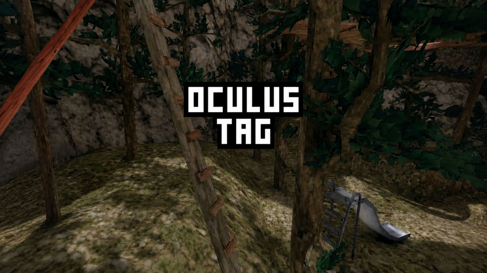 Oculus Tag