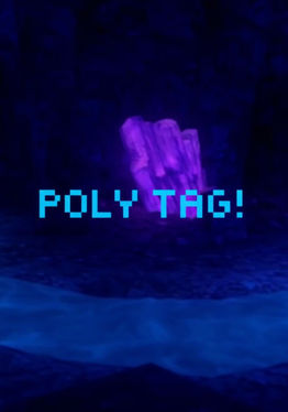 Poly Tag