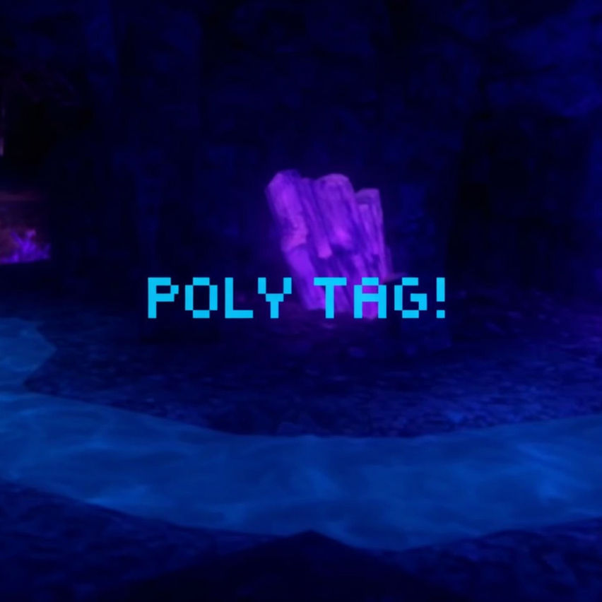Poly Tag