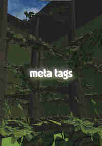 meta tags
