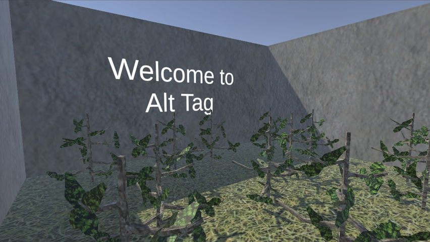 Alt Tag