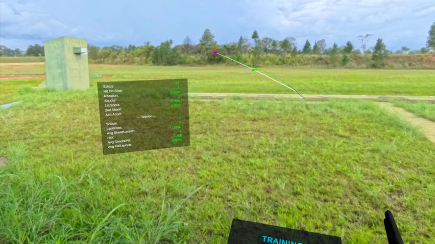 Insana Simulator