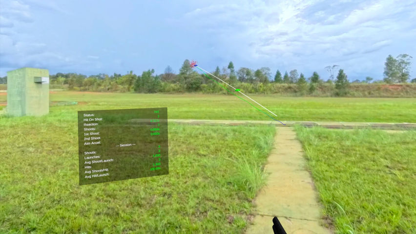 Insana Simulator