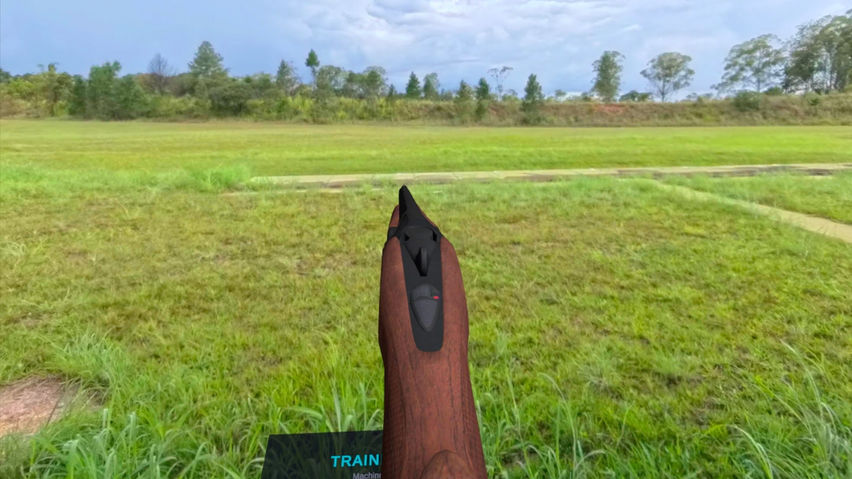Insana Simulator