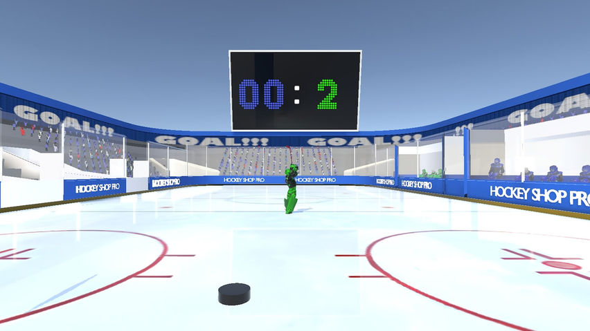 Hockey Goalie Pro