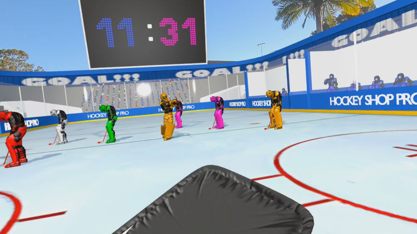 Hockey Goalie Pro