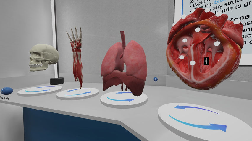 Anatomy Learning Labs: Exploration Lab