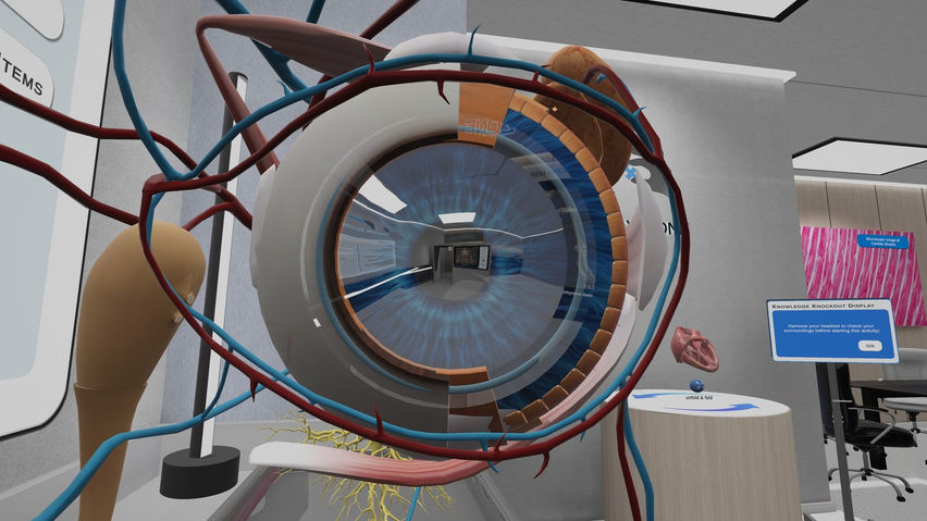 Anatomy Learning Labs: Exploration Lab