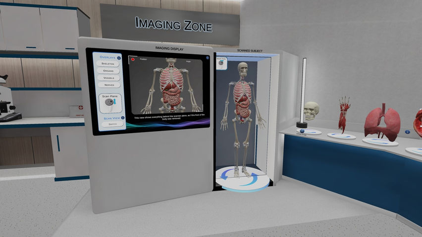 Anatomy Learning Labs: Exploration Lab