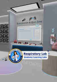 Anatomy Learning Labs: Respiratory Lab