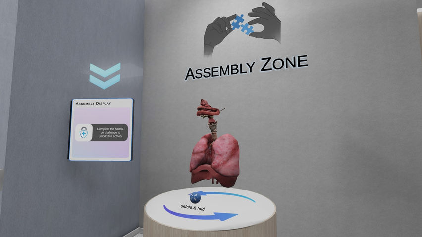 Anatomy Learning Labs: Respiratory Lab