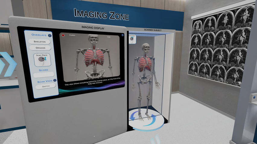 Anatomy Learning Labs: Respiratory Lab