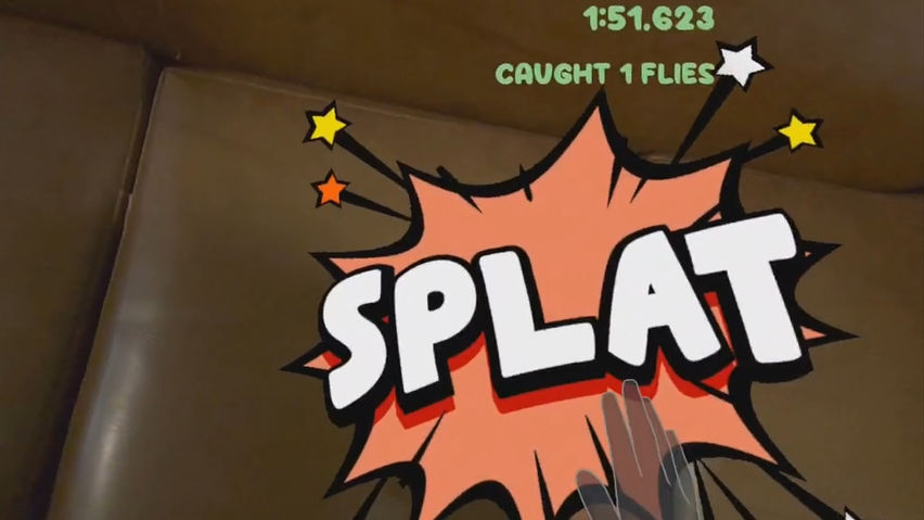 Fly Exterminator