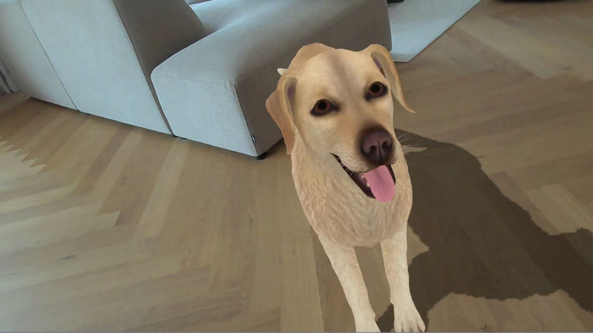 HoloPets: AR Pet Simulator
