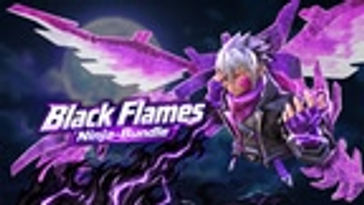Ninja - Black Flames Bundle