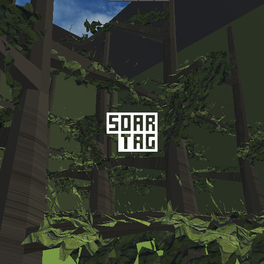 Soar Tag