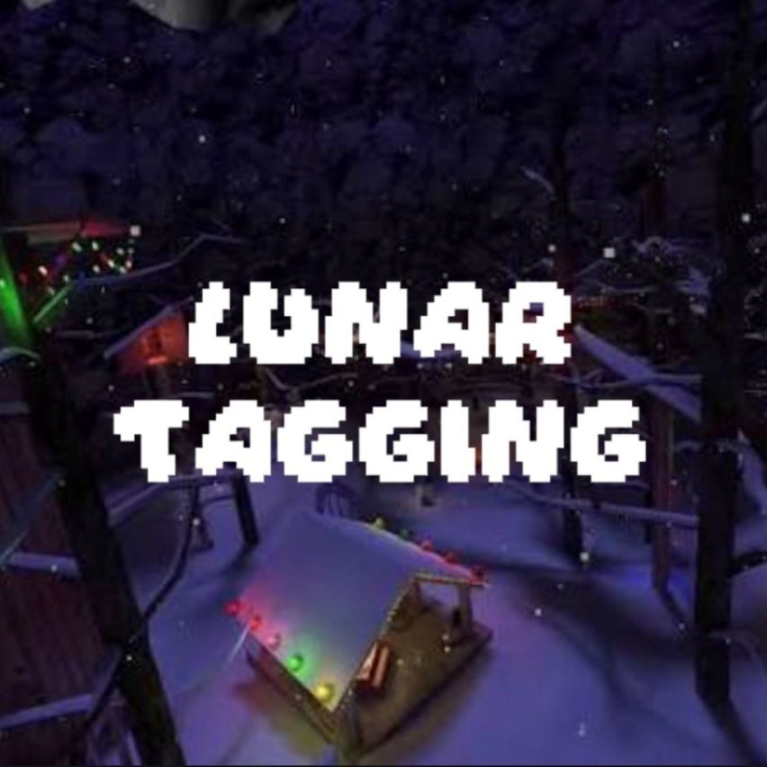Lunar Tagging
