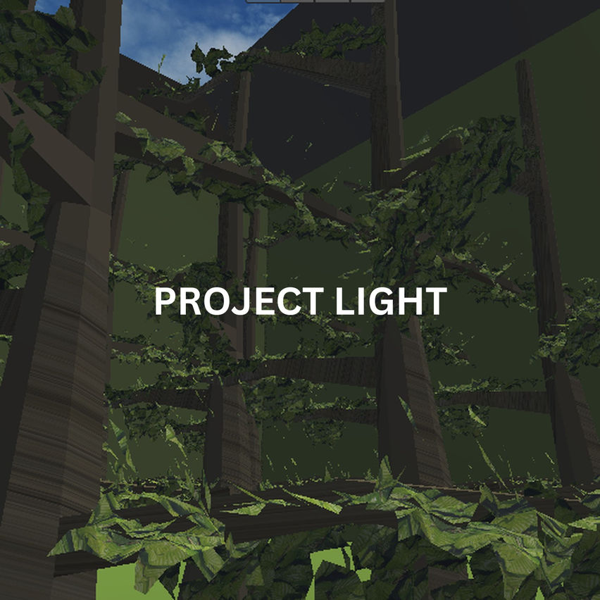 Project Light