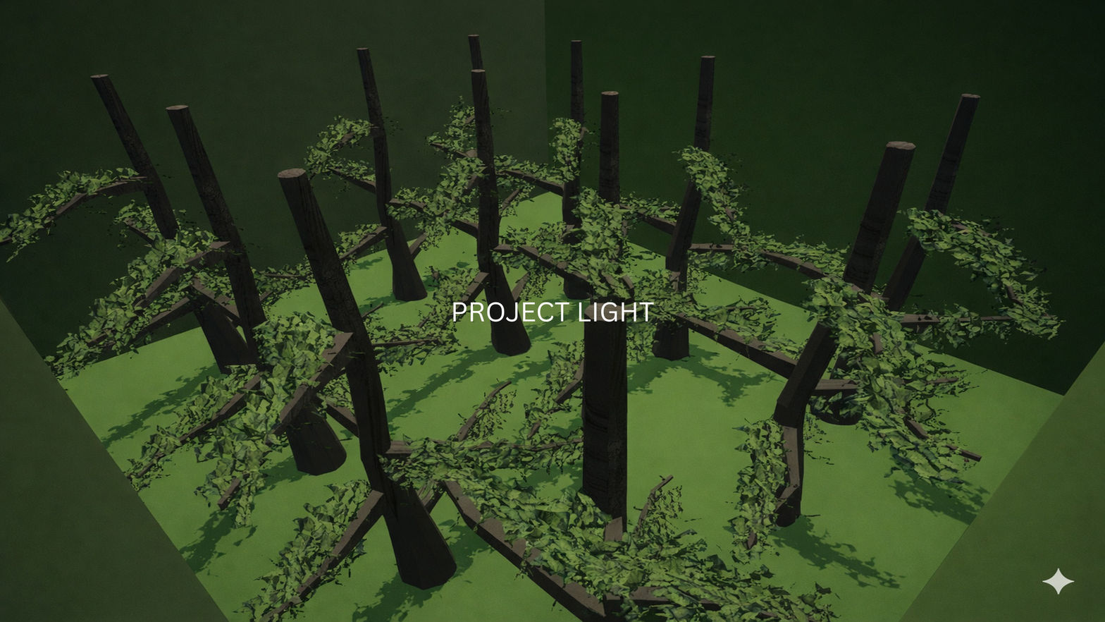 Project Light