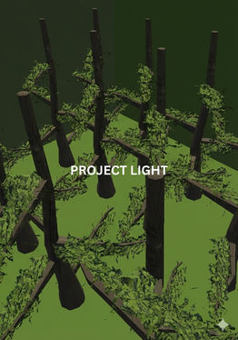 Project Light