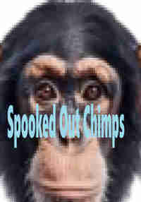 Spooked Out Chimps