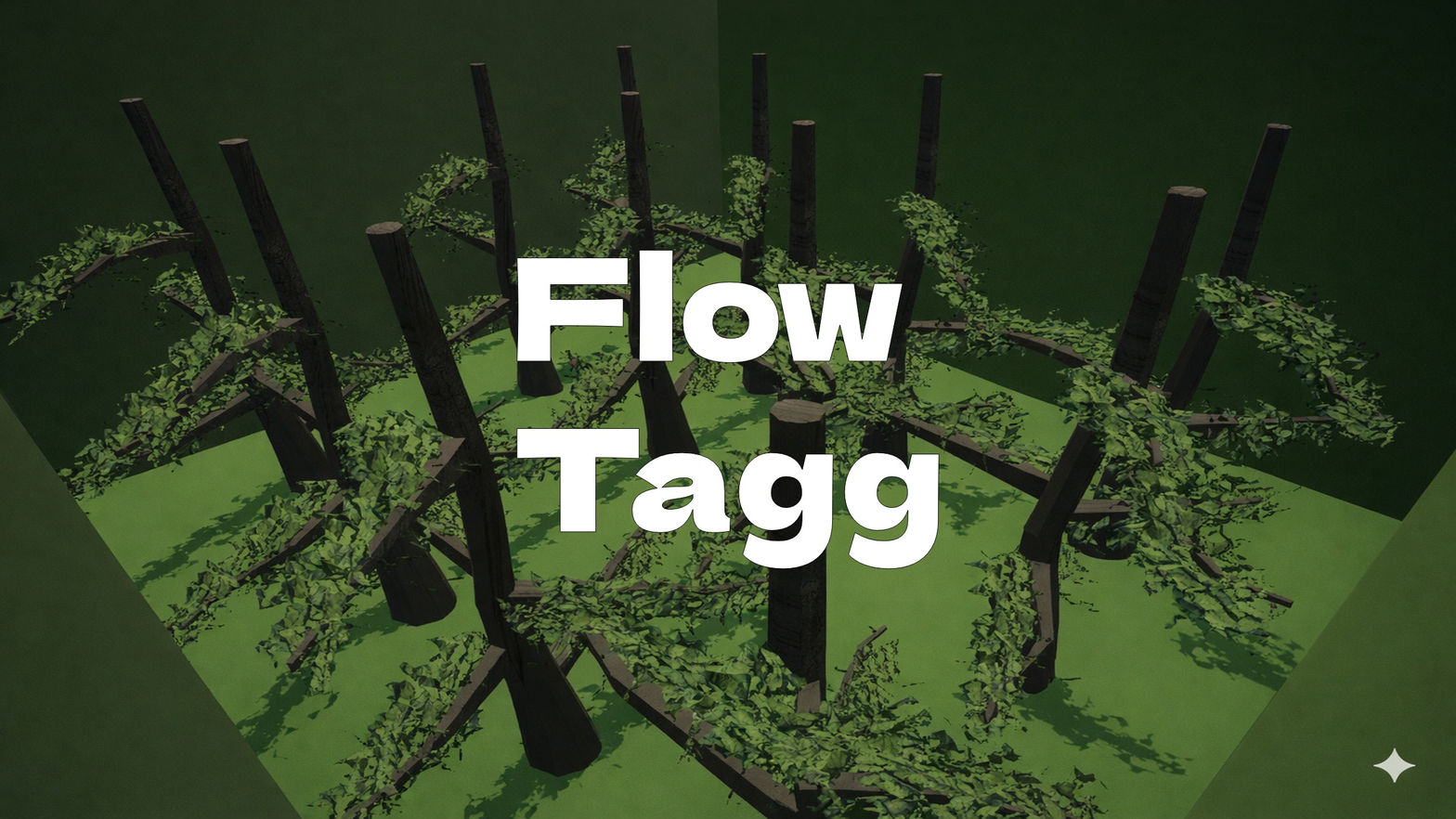 Flow Tagg