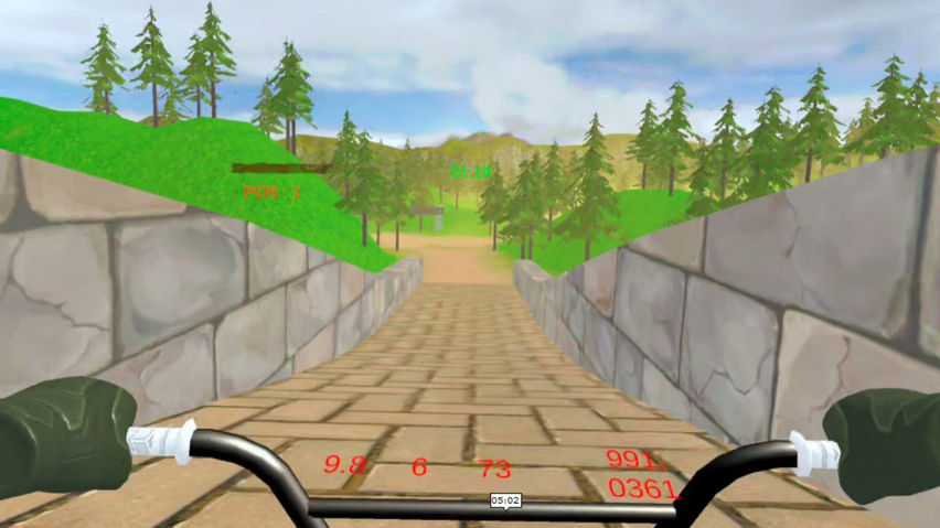 BMX Cycle Race