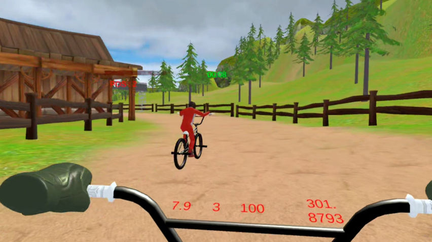 BMX Cycle Race