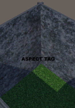 Aspect Tag