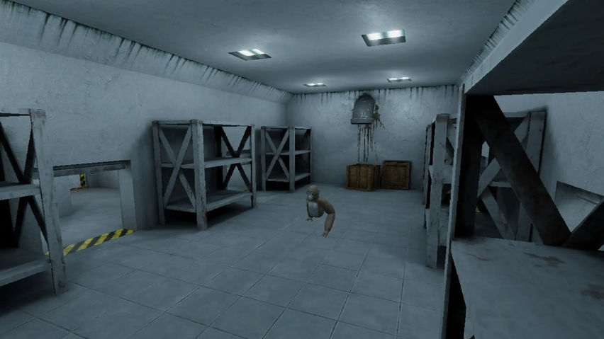 Lethal Ape VR