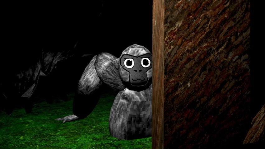 Gorilla HELL