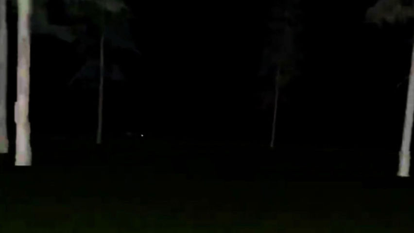 Fun Monke Horror