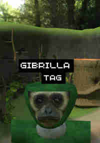 Gibrilla Tag