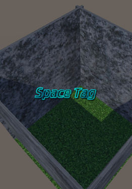 SPACE TAG