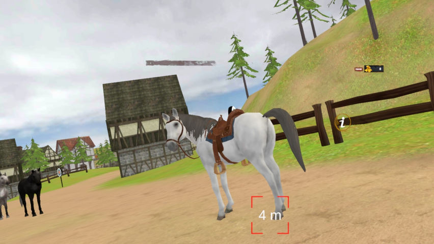 Horse Riding