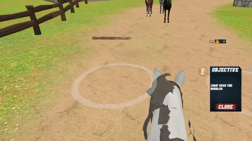 Horse Riding