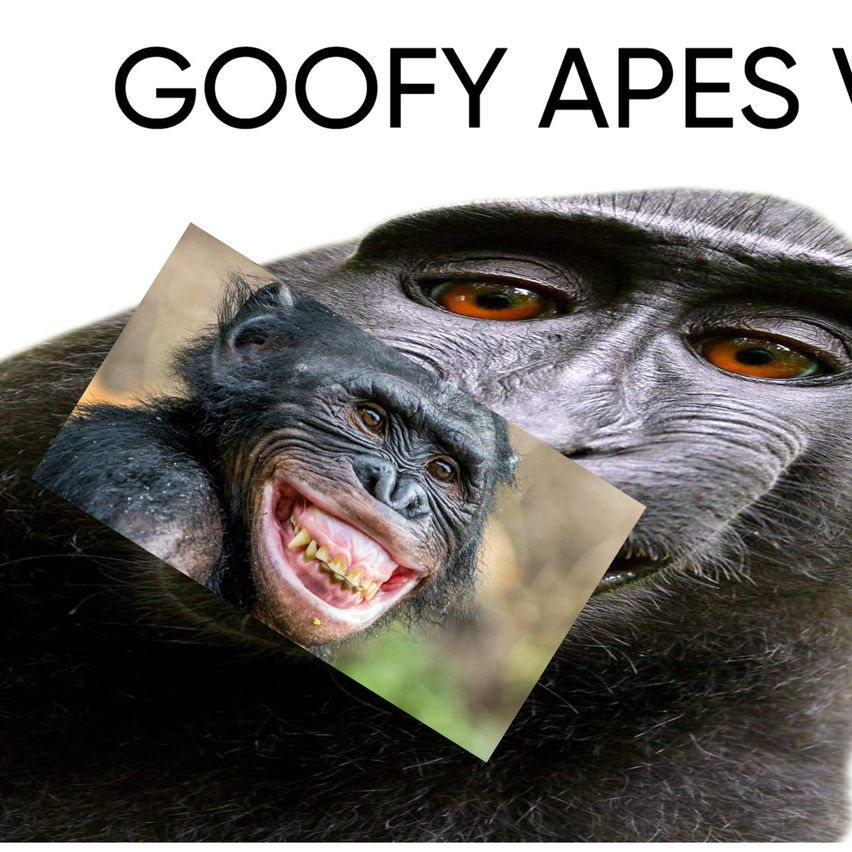 Goofy Apes