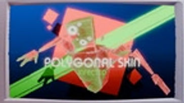 Polygonal Skin