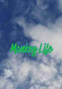 Monkey Life