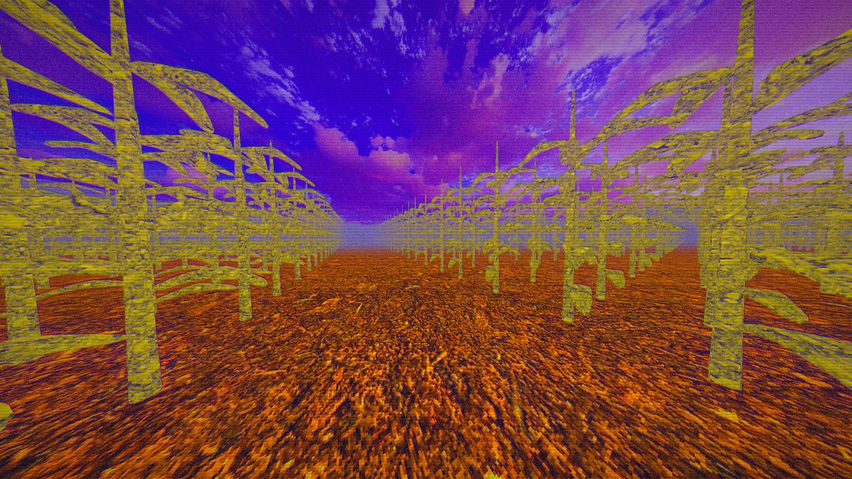 DistortedMinds
